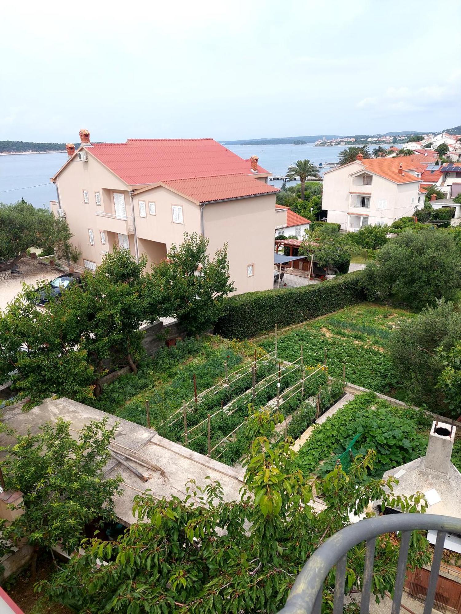 Apartment Olive House Rab Barbat na Rabu Стая снимка